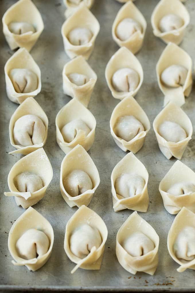 fresh wontons